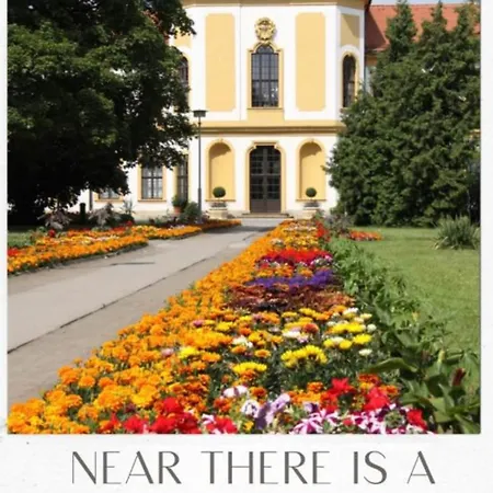 Prime In The Centre With Bbq * Dresden