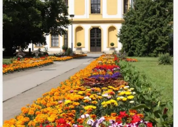 Prime In The Centre With Bbq * Dresda